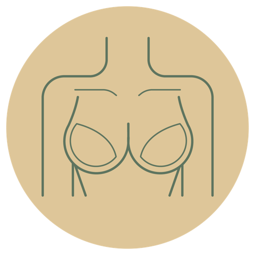 Senos